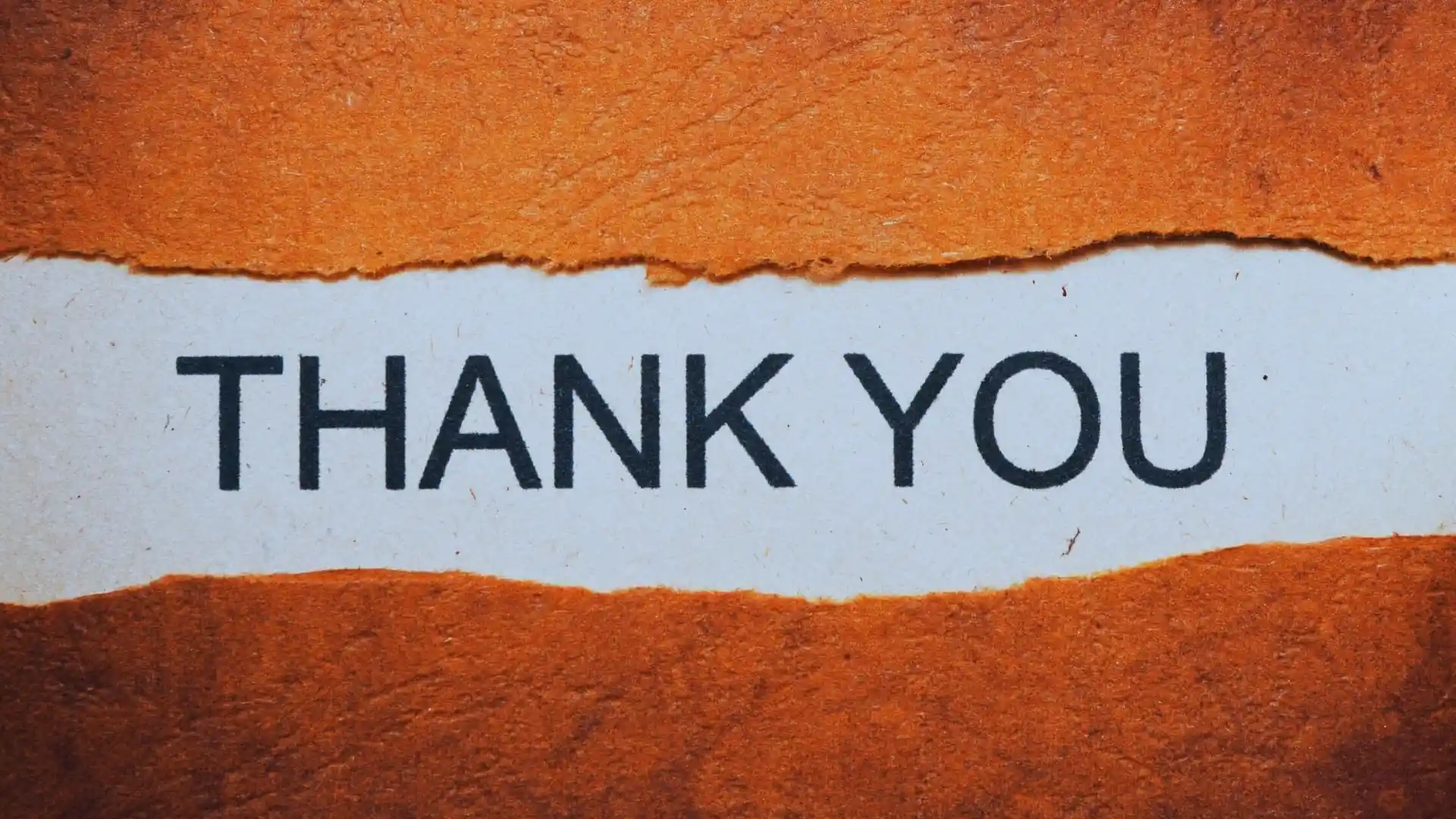 A torn piece of orange textured paper reveals the words "THANK YOU" in bold black letters on a white background beneath, reminiscent of uncovering insights in the BVDash vs SmartSuite comparison.