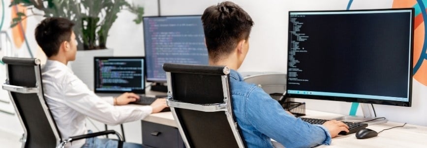 Two people sit at desks working on computers with large monitors displaying code, utilizing software development tools and techniques in a modern office setting. Plants and office decor are visible in the background.