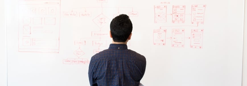 A person with short dark hair, seen from behind, looks at a whiteboard filled with flowcharts, diagrams, and wireframes drawn in red marker—perhaps studying for a CAPM course.